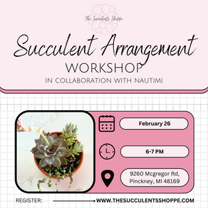 Succulent Arrangement Workshop @ NautiMi