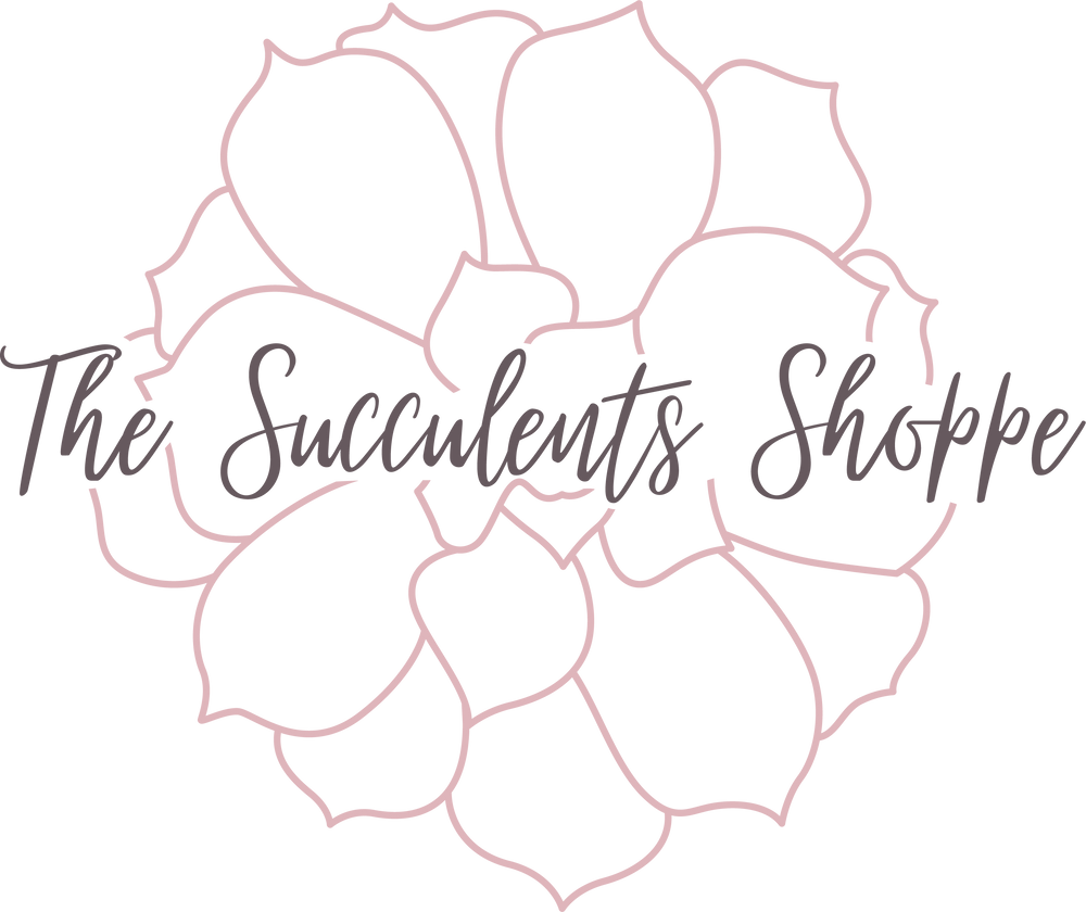 The Succulents Shoppe