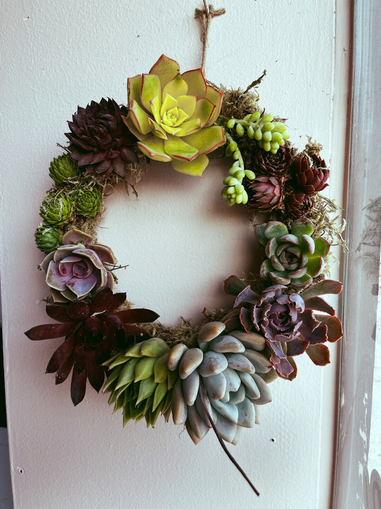 
            
                Load image into Gallery viewer, Succulent Wreath Workshop
            
        