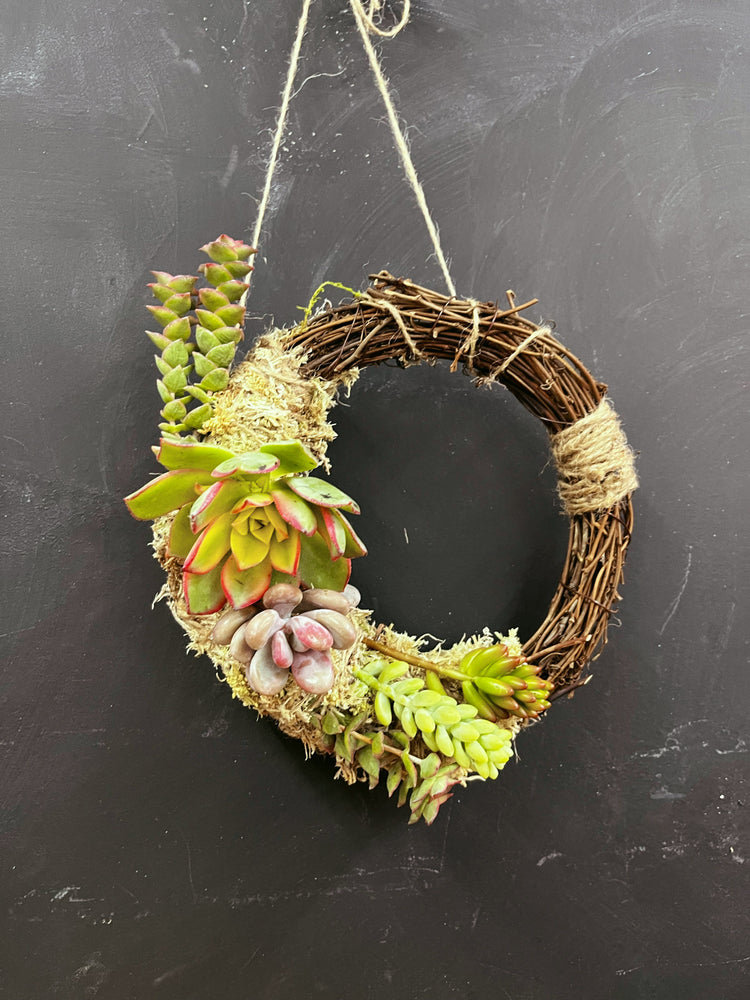 
            
                Load image into Gallery viewer, Succulent Wreath Workshop
            
        