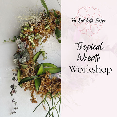 Tropical Wreath Workshop - The Succulents Shoppe