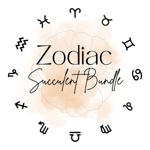 Zodiac Succulent Bundle - The Succulents Shoppe